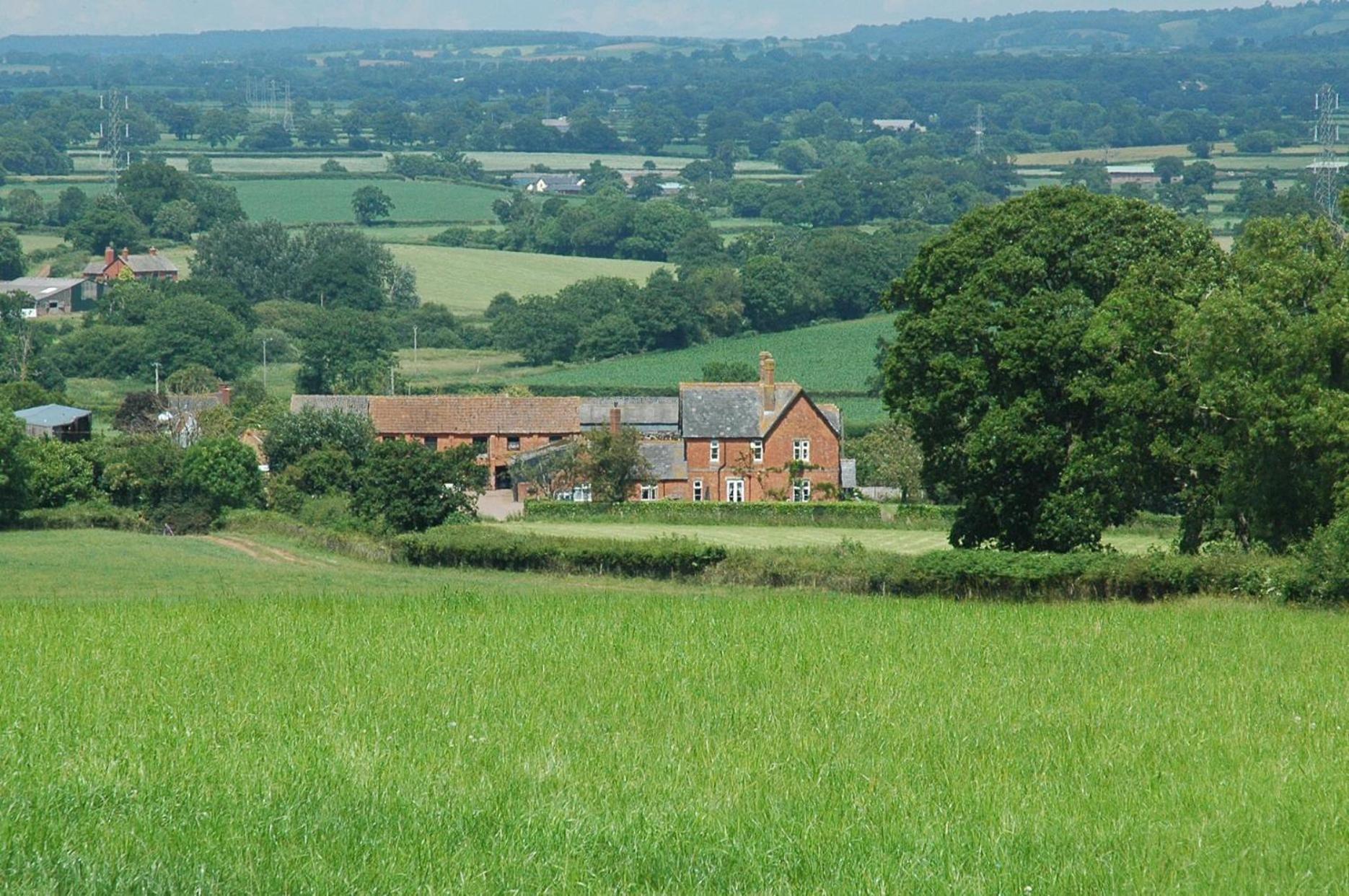Newcourt Barton Villa Cullompton Dış mekan fotoğraf